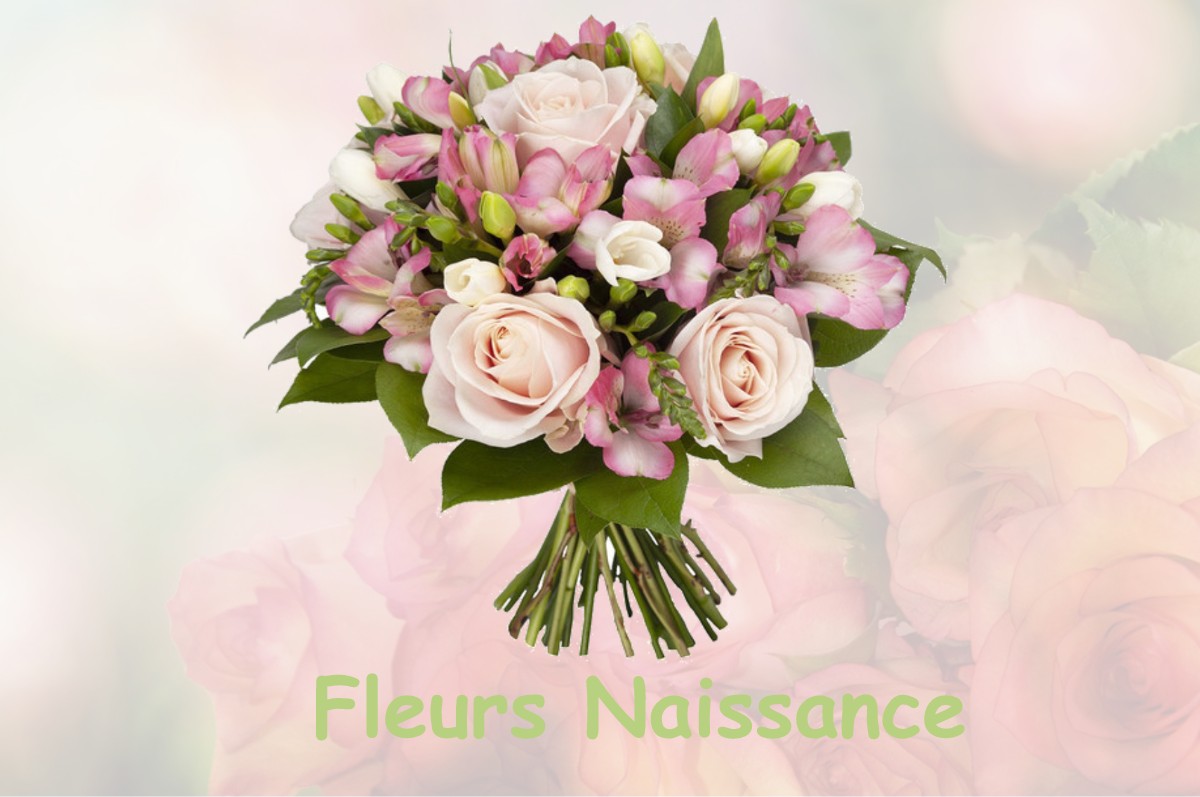 fleurs naissance FRESNOY-LE-LUAT